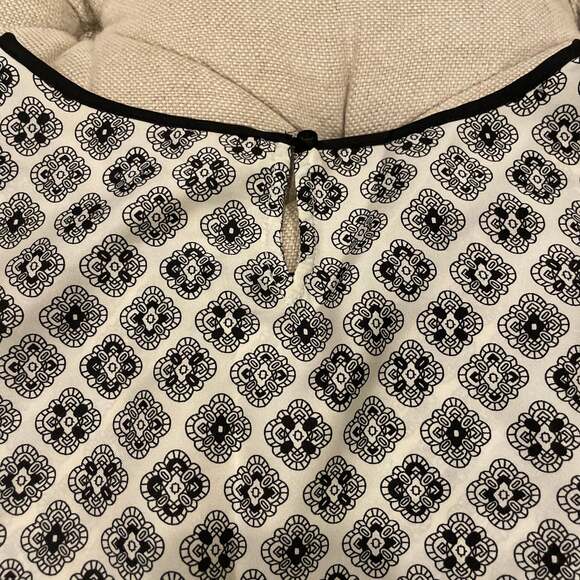 Medallion Shell - Picture 4 of 4